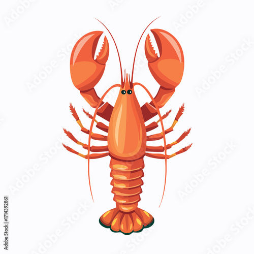 A vibrant illustration of a cooked lobster, viewed from above, showcasing its detailed claws and segmented body.