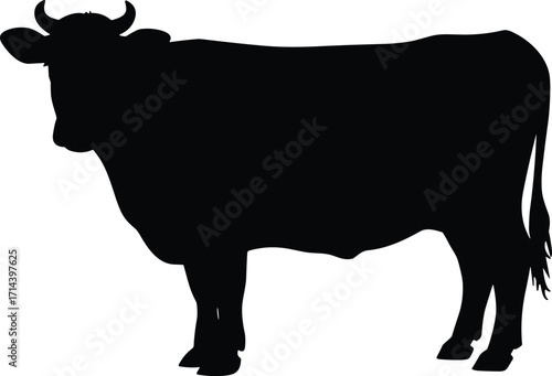 Silhouette illustration of cow standing with horns, farm animal vector design, livestock graphic, cattle outline, agriculture concept, rural farming domestic animal artwork