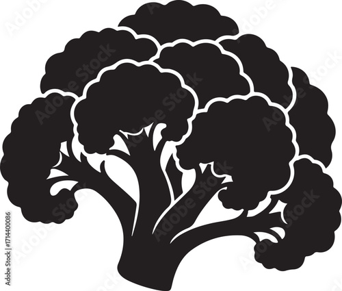 black silhouette of cauliflower on white background, vector