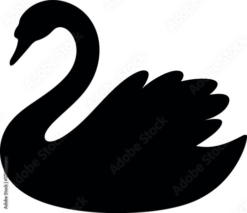 Elegant black swan silhouette graceful waterfowl symbol of beauty vector