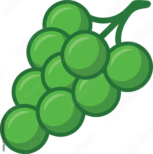 Fresh green grapes bunch healthy fruit food ingredient vector