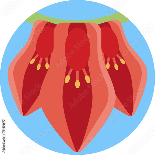 Symbolizes the Erythrina tree, Argentina’s national flower, known for its bright red blossoms.