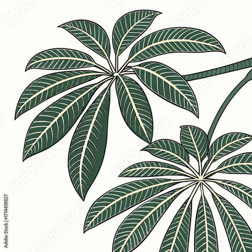 Stylized illustration of dark green palm leaves with light green veins and black outlines against a pale cream background