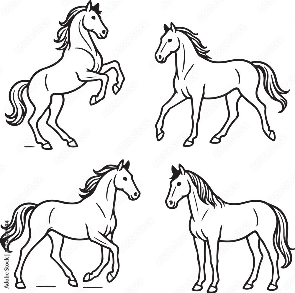 Obraz premium line art horses