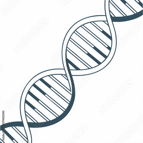 Simple dna strand illustration, representing genetics, biology, and scientific research with a clean and minimalist design