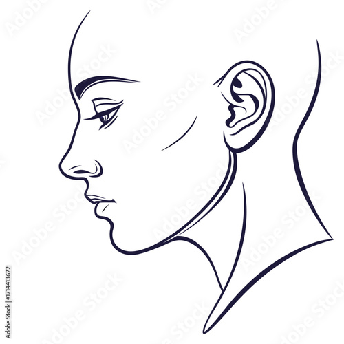 An elegant line drawing of a womans profile, highlighting her refined features and smooth contours, , conveying a sense of sophistication and poise