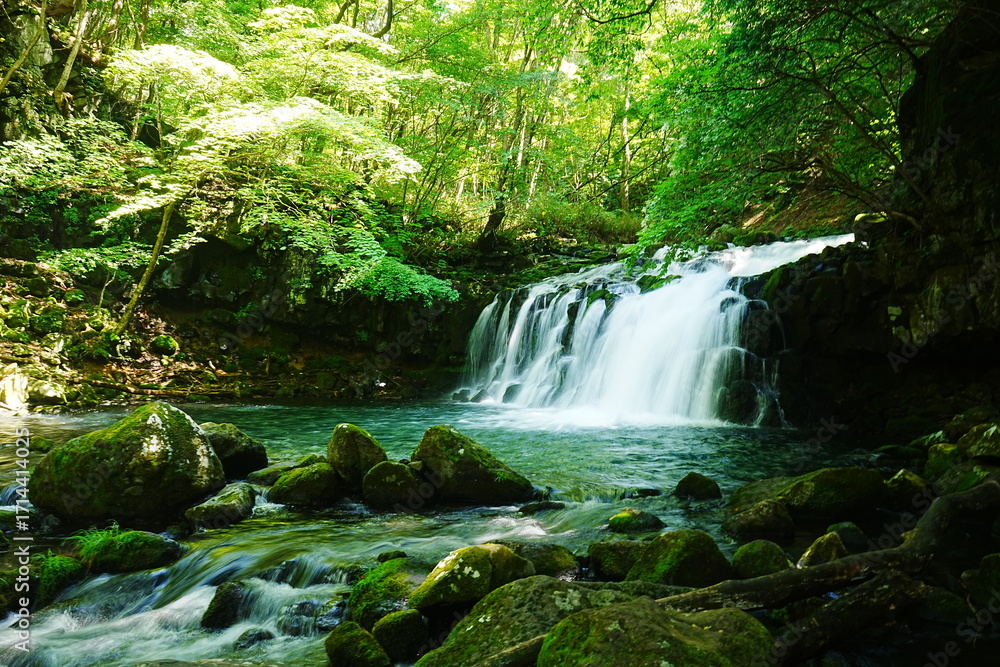 Fototapeta premium Tateshina Otaki Water Fall in Yamanashi, Japan - 日本 山梨 蓼科大滝