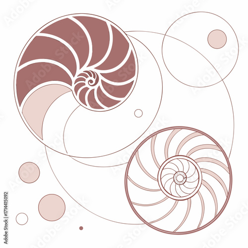 A minimalist geometric composition featuring nautilus shells and circles in muted earth tones, creating a serene and sophisticated design