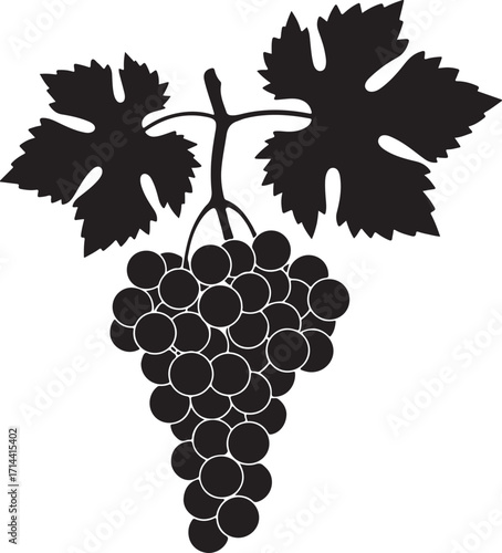 black silhouette of grapes on white background, vector