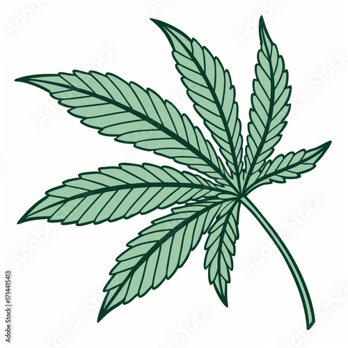 A stylized illustration of a single green cannabis leaf with dark green veins on a white background representing nature and botanical elements