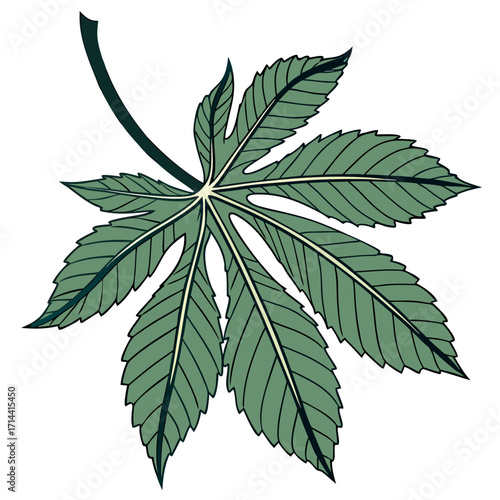 Detailed illustration of a vibrant green castor bean leaf with prominent veins and serrated edges isolated on a white background