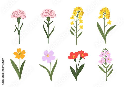 Collection of Eight Different Types of Flowers Isolated on White Background.