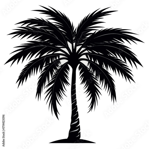 High contrast silhouette of a single subject