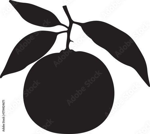  black silhouette of orange fruit on white background, vector
