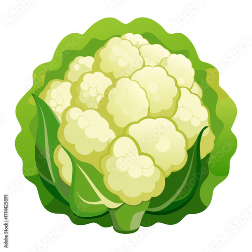 cauliflower isolated on white background