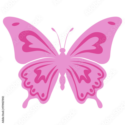 Illustration of a pink butterfly with detailed wing patterns and symmetrical design on a white background