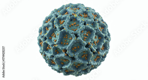 Human Papillomavirus (HPV) Microscopic 3D Model of Viral Structure