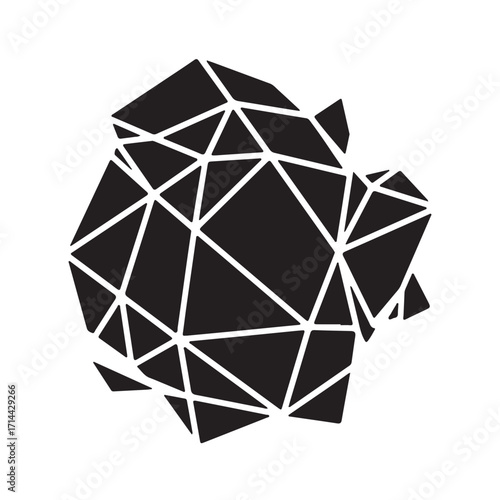 Abstract Black Geometric Form with Intricate White Line Structure
