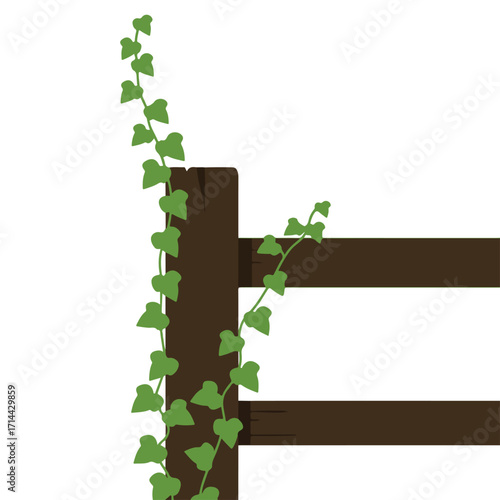 Rustic wooden fence partially covered in climbing vine with simplistic greenery