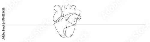 Continuous Line Art of Human Heart