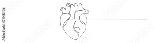 One Line Drawing of a Human Heart