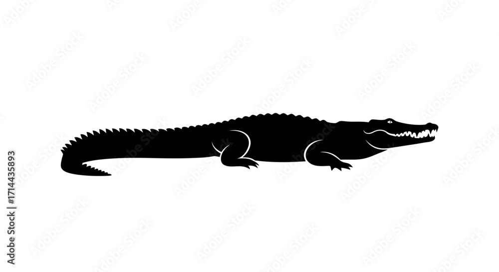 Fototapeta premium Silhouette of a large crocodile, side view.