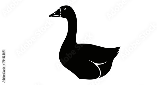 Silhouette of a domestic goose, side view.