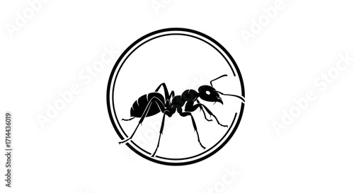 Black and white illustration of an ant inside a double-lined circular frame, simple design.