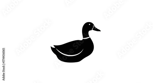 Silhouette of a duck facing right, simple design.