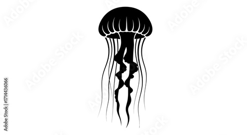 A striking black silhouette of a jellyfish with a detailed bell and long, flowing tentacles, isolated on a clean white background.
