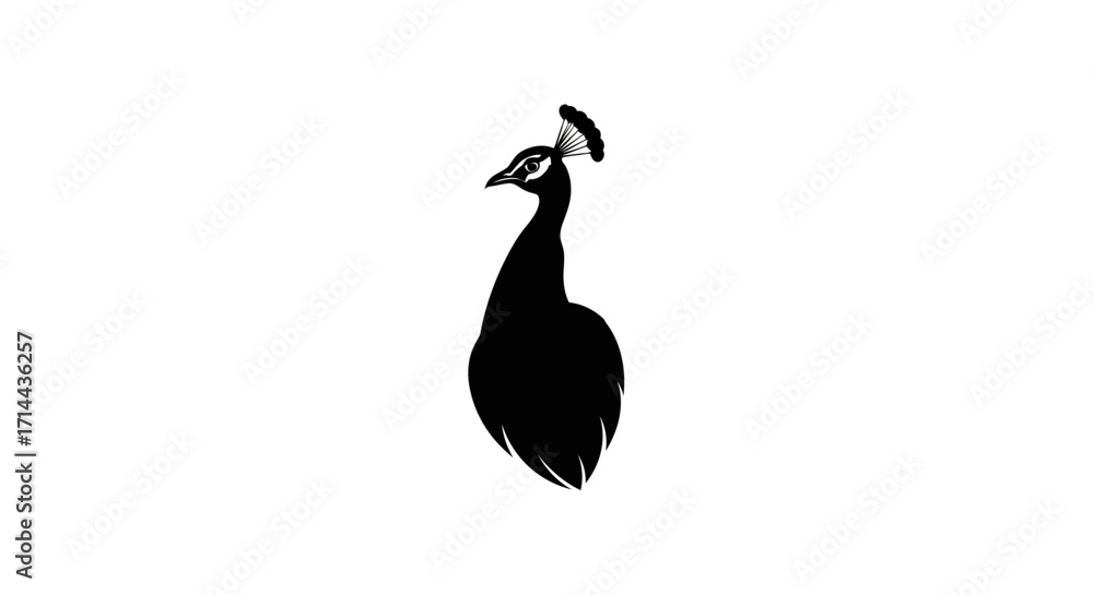Fototapeta premium Silhouette of a peacock with a detailed head crest, elegant and graceful.