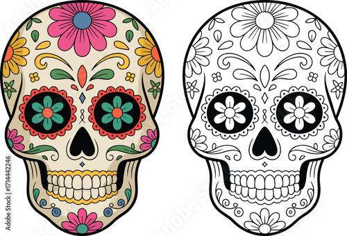 skull colorful 2 heads set Design, Vector illustration of a black and white sugar skull and its inverse.