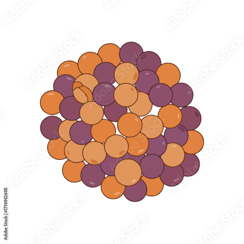 Group of stylized orange and purple grapes in a tight cluster, set against a white background