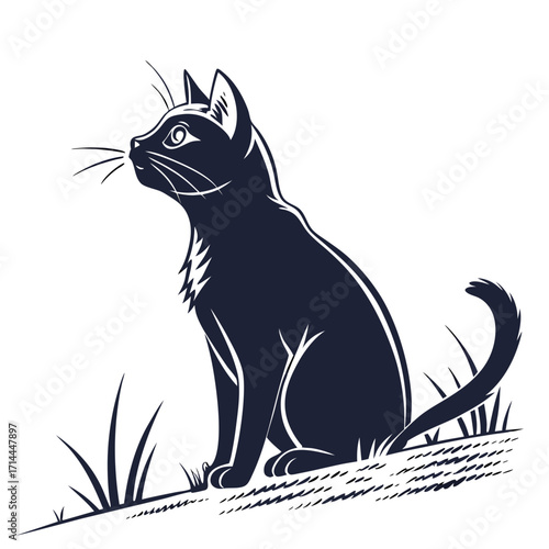 black cat vector illustration