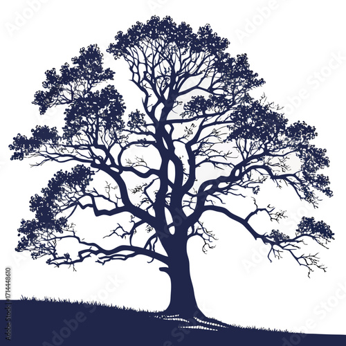 A majestic silhouette of a large mature oak tree with intricate branches and dense foliage standing tall on a grassy hillside against a clean white background
