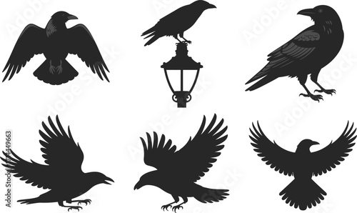 Collection of Black Silhouette Illustrations of Ravens in Various Poses and a Lamppost crow bird