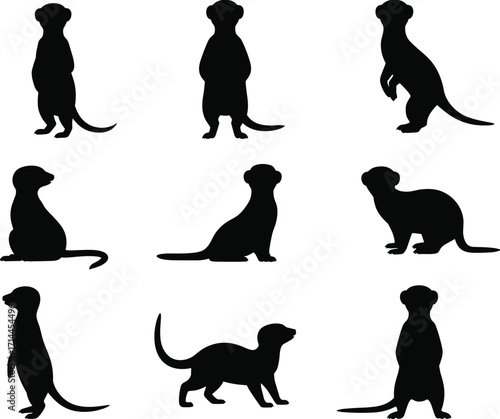 Nine black silhouette icons of meerkats in various poses on a white background Keywords: meerkat, animal, wildlife, mammal