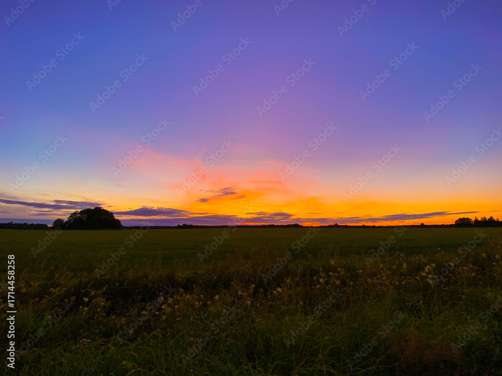 Obraz premium sunset over the field