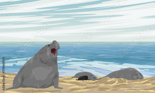 A group of elephant seals with a calf lie on a sandy seashore. Realistic vector landscape.