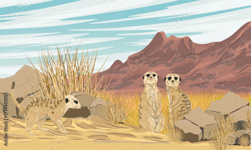A group of meerkats in a sandy valley with dry grass at the foot of a mountain range. Realistic vector landscape