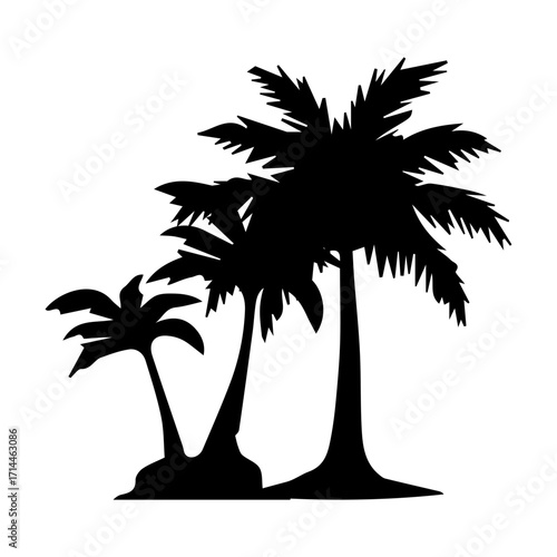 Palm Trees Silhouette