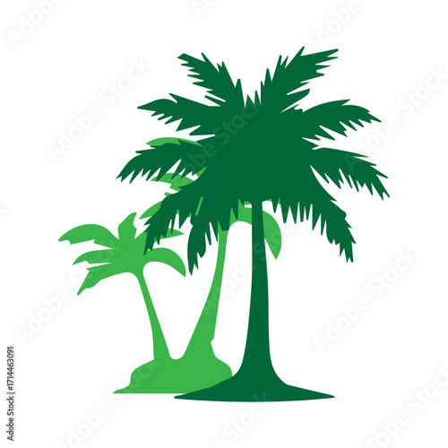Tropical Palm Tree Icon