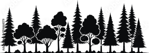 Black forest silhouette with diverse coniferous and deciduous trees, detailed foliage and rocky ground, vector illustration for nature, landscape, and outdoor design