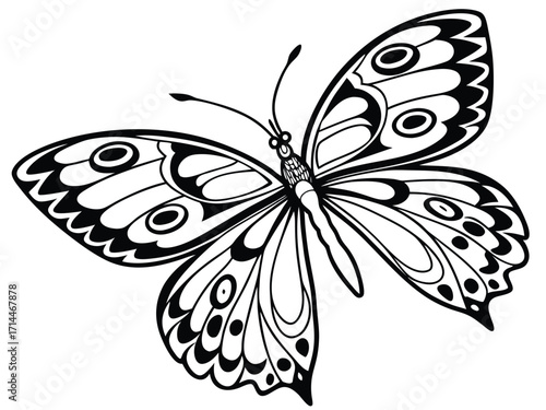 Decorative Butterfly Illustration Black and White Vector