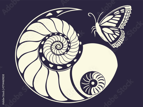 vector illustration of a seashell