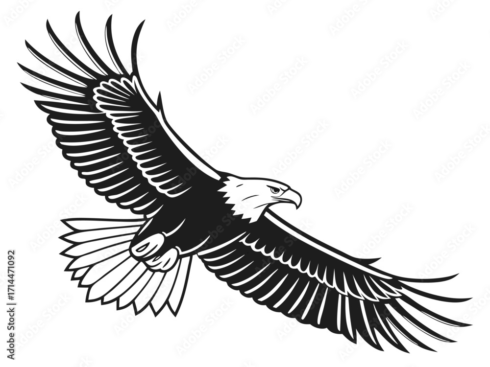 Obraz premium eagle vector illustration