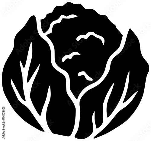 food illustration vegetarian silhouette cauliflower logo vegetable icon organic outline fresh healthy nutrition green diet ingredient vegan health cabbage shape women vector graphic background