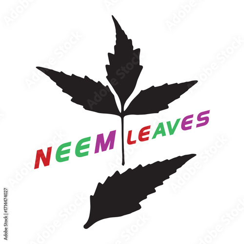 Black Silhouette of Neem Leaves with Colorful Text white background