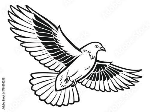 dove of peace vector illustration