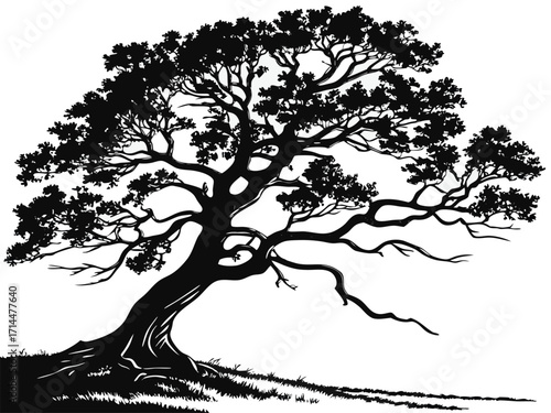 tree silhouette vector